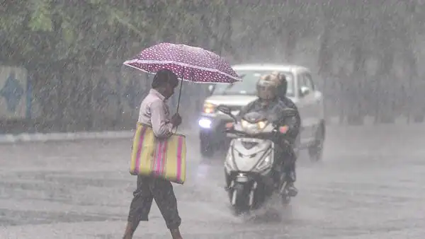 Rain