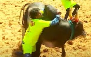 alanganallur jallikattu