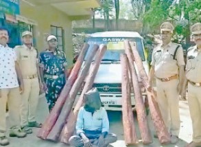 செம்மரக்கடத்தல்
