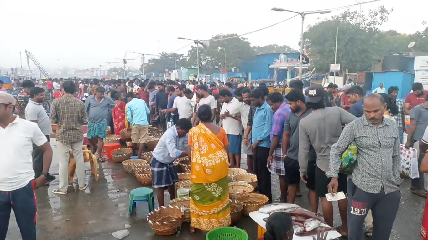 காசி மேட்டில் அலைமோதும் மீன் பிரியர்கள் கூட்டம்