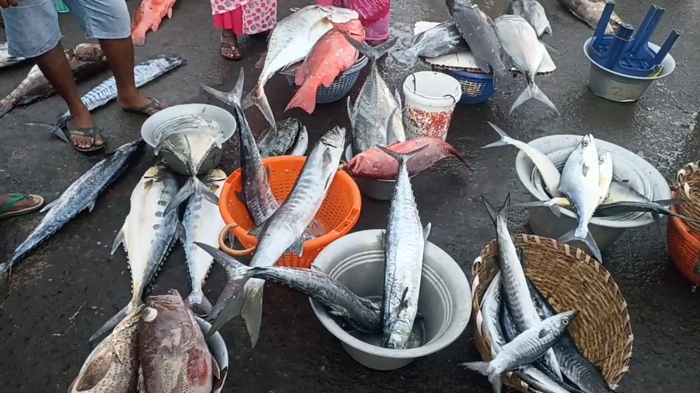 காசி மேட்டில் அலைமோதும் மீன் பிரியர்கள் கூட்டம்