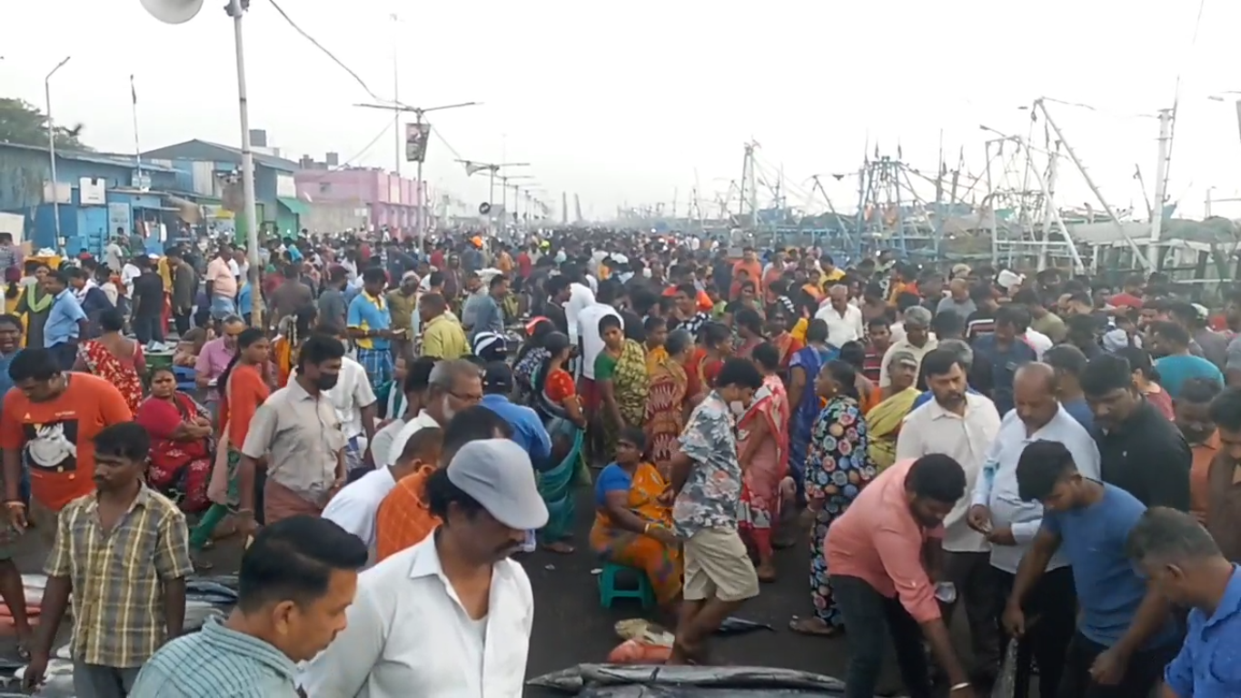 காசி மேட்டில் அலைமோதும் மீன் பிரியர்கள் கூட்டம்