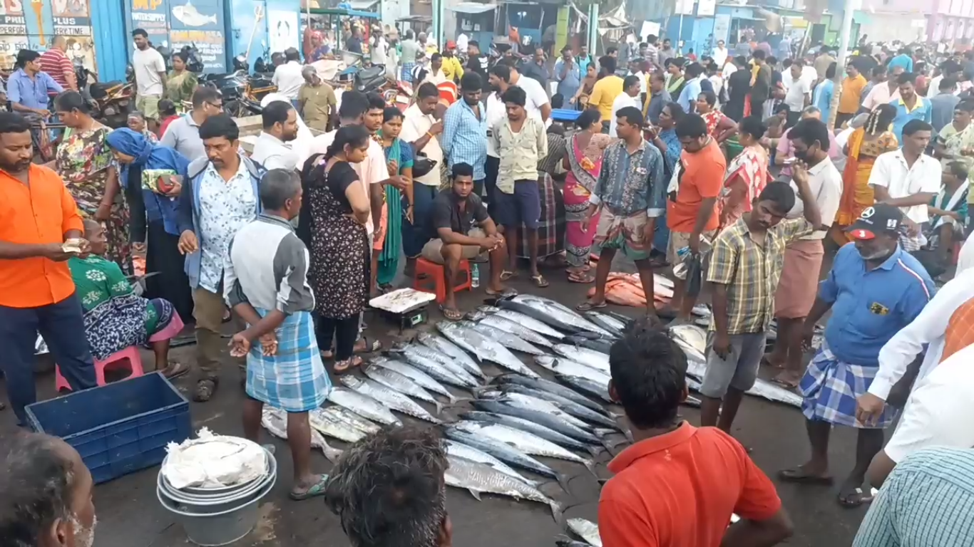 காசி மேட்டில் அலைமோதும் மீன் பிரியர்கள் கூட்டம்