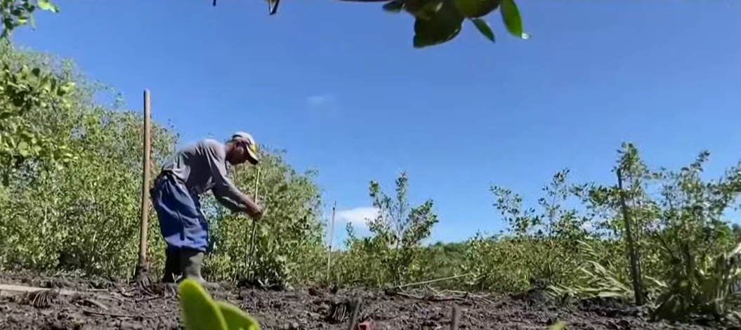 ரியோ-டி-ஜெனீரோ