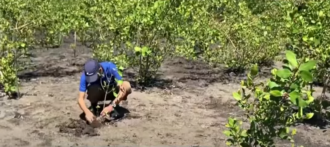 ரியோ-டி-ஜெனீரோ