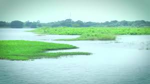 சோழர் பாசன திட்டம்