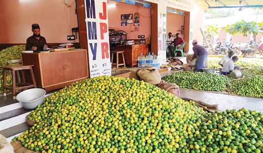 சங்கரன்கோவில் எலுமிச்சை சந்தையில் குறைந்த எலுமிச்சை விற்பனை