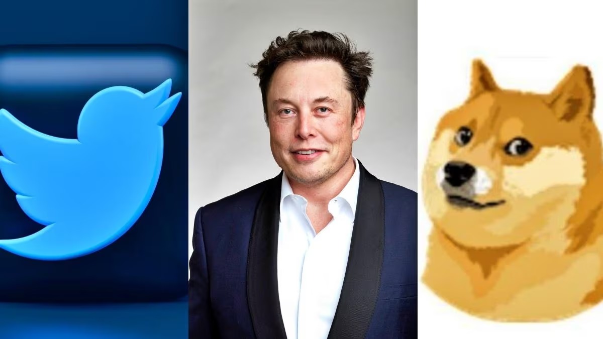 நீல நிற குருவிக்கு பதில் நாய் ட்விட்டரில் பரபரப்பு!