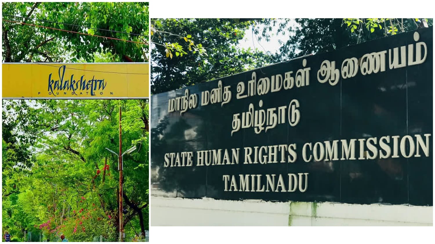 கலாஷேத்ராவில் மனித உரிமைகள் ஆணையம் விசாரணை