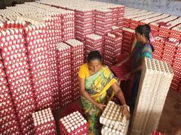 முட்டை கொள்முதல் விலை ஒரே நாளில் 10 காசுகள் உயர்வு