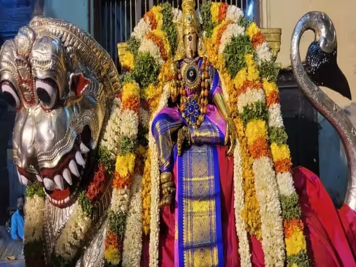 மதுரை மாசி வீதிகளில் எழுந்தருளிய மீனாட்சி, சுந்தரேஸ்வரர்