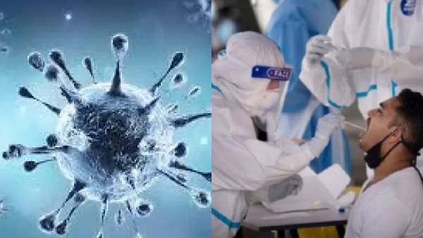 இந்தியாவில் தொற்று பாதிப்பு 7,533 ஆக உயர்வு