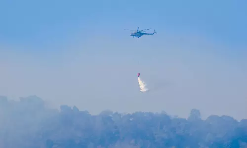 ஹெலிகாப்டர் மூலம் காட்டுத்தீயை அணைக்கும் பணி