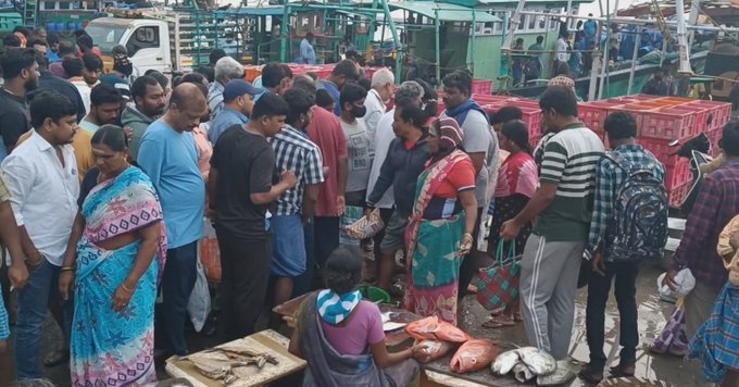 கார்த்திகை மாத பிறப்பையொட்டி, காசிமேட்டில் மீன்கள் விலை வீழ்ச்சி..