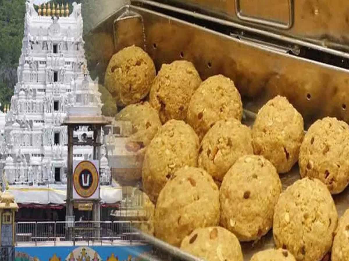 திருப்பதியில் லட்டு தயாரிக்க தானியங்கி இயந்திரம்