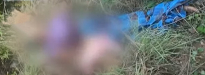 ஆந்திராவில் மின்வெளியில் சிக்கி 4 யானைகள் பலி