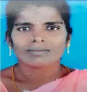 ஆந்திராவில் மின்வெளியில் சிக்கி 4 யானைகள் பலி