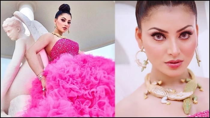 முதலைவடிவ நெக்லஸின் மதிப்பு தெரியுமா? - ஊர்வசி ரவுத்தேலா ஆதங்கம்