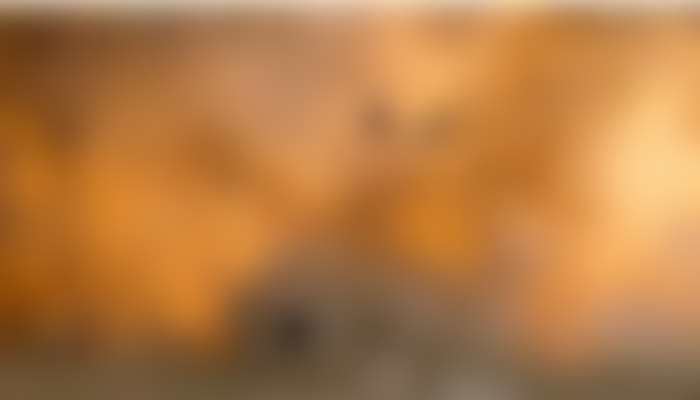 வீட்டில் நாட்டுவெடிகுண்டு தயாரித்தபோது பிரபல ரவுடிக்கு நேர்ந்த கதி