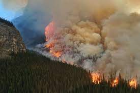 கரும்புகை மண்டலமாக காட்சியளிக்கும் ஆல்பர்ட்டா மாகாணம்