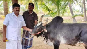 vijayabaskar