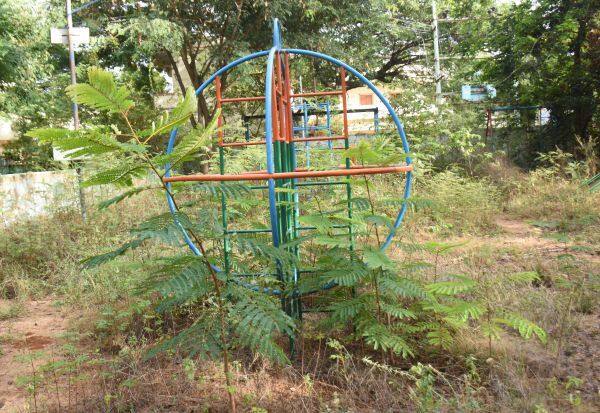 பராமரிப்பில்லாத உடுமலை நகராட்சி பூங்கா