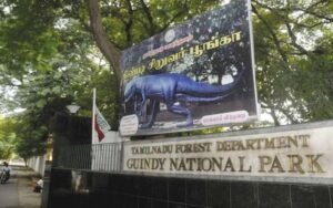 கிண்டி சிறுவர் பூங்கா ஆறு மாதங்களுக்கு மூடப்படுவதாக தமிழக அரசு அறிவிப்பு!