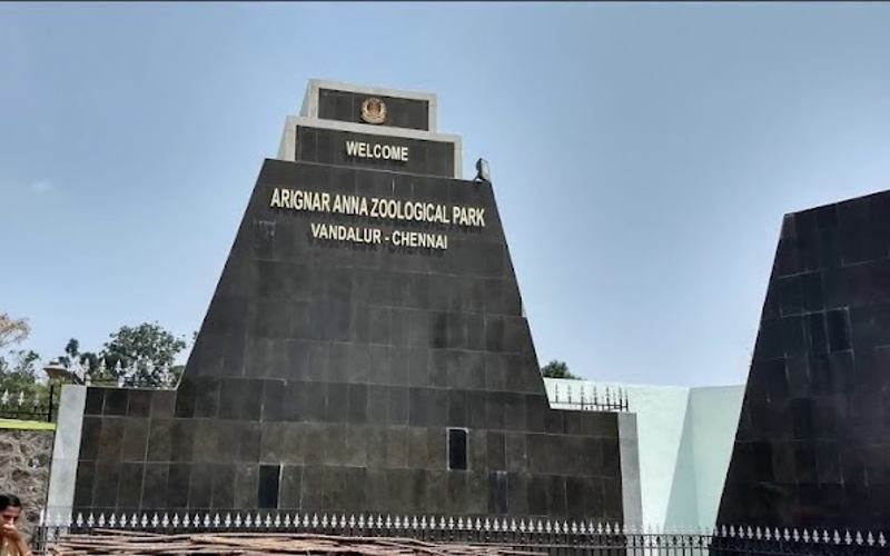 வண்டலூர் உயிரியல் பூங்காவில் அருங்காட்சியகம் அமைக்க தமிழக அரசு உத்தரவு!