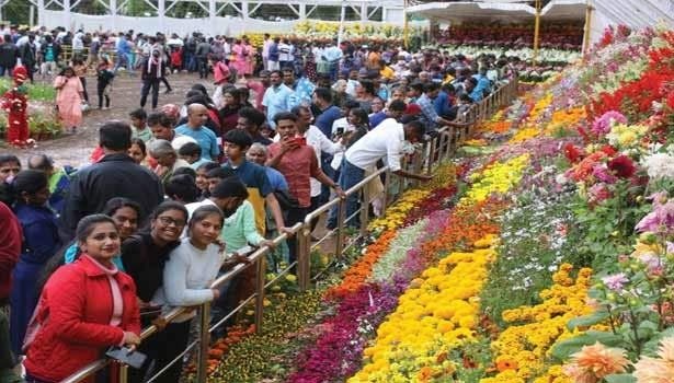 கடந்த ஆண்டை விட இந்தாண்டு சுற்றுலாப் பயணிகளின் வருகை அலைமோதியது