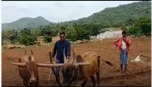 மாவட்ட ஆட்சியர்