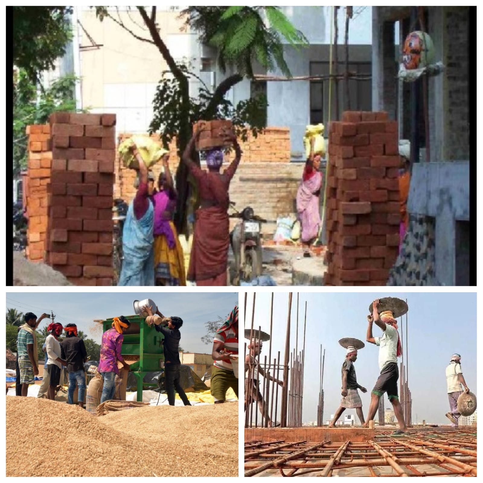 உழைப்பவர்கள் மட்டுமே மாபெரும் சக்திமானாக மாறுகிறார்கள்