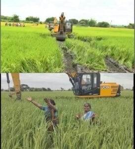 Farmers
