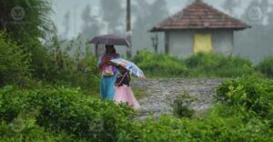 kerala orange alert