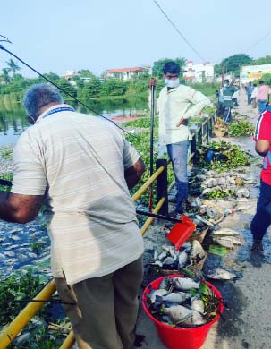 ஆவடி காடுவெட்டி பகுதி கூவம் ஆற்றில் செத்து மிதக்கும் மீன்கள் - தொற்று நோய் பரவும் அபாயம்