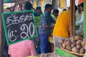 தக்காளி