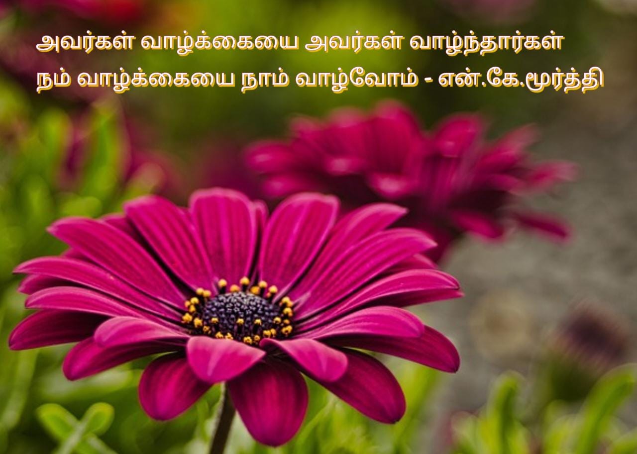 அவர்கள் வாழ்க்கையை அவர்கள் வாழ்ந்தார்கள். நம் வாழ்க்கையை நாம் வாழ்வோம்.