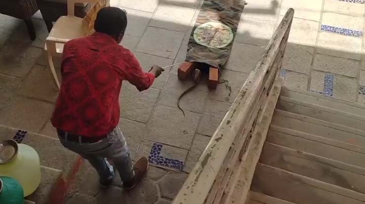 நாய் நன்றியுள்ளது- மனிதனோடு ஒப்பிடாதீர்