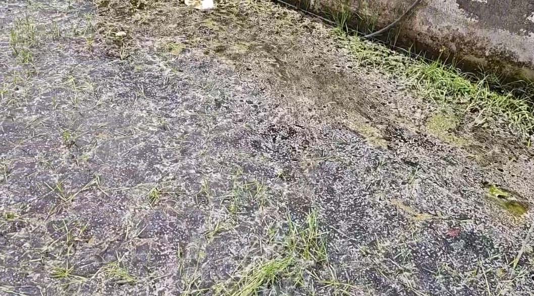 முறையான பராமரிப்பு இல்லாத ஆவடி பூங்காக்களில் தேங்கி இருக்கும் தண்ணீரில் அதிக அளவில் கொசுக்கள் உற்பத்தி – பொதுமக்கள் அவதி