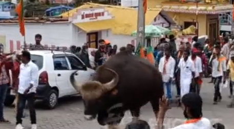 நடைப்பயணத்தில் புகுந்த காட்டுமாடு -பாஜவினர் அலறியடித்து ஓட்டம்