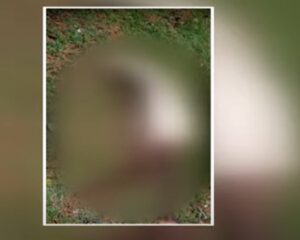 நாட்டுவெடி