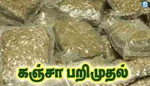 சிறைக்குள் கஞ்சா -சிறை வளாகத்தில் பரபரப்பு   