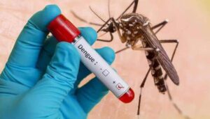 டெங்கு காய்ச்சல்