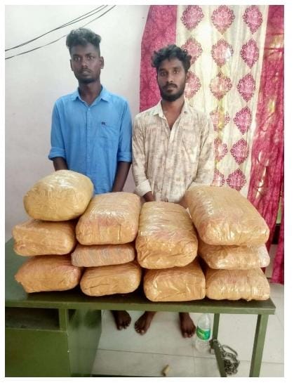 ஆந்திராவிலிருந்து தமிழகத்திற்கு கஞ்சா கடத்தல் – இரண்டு வாலிபர்கள் கைது