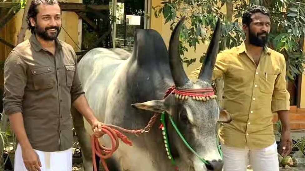 அடுத்த ஆண்டு ஜனவரியில் நிச்சயம் 'வாடிவாசல்' தொடங்கும்.... இயக்குனர் வெற்றிமாறன்!
