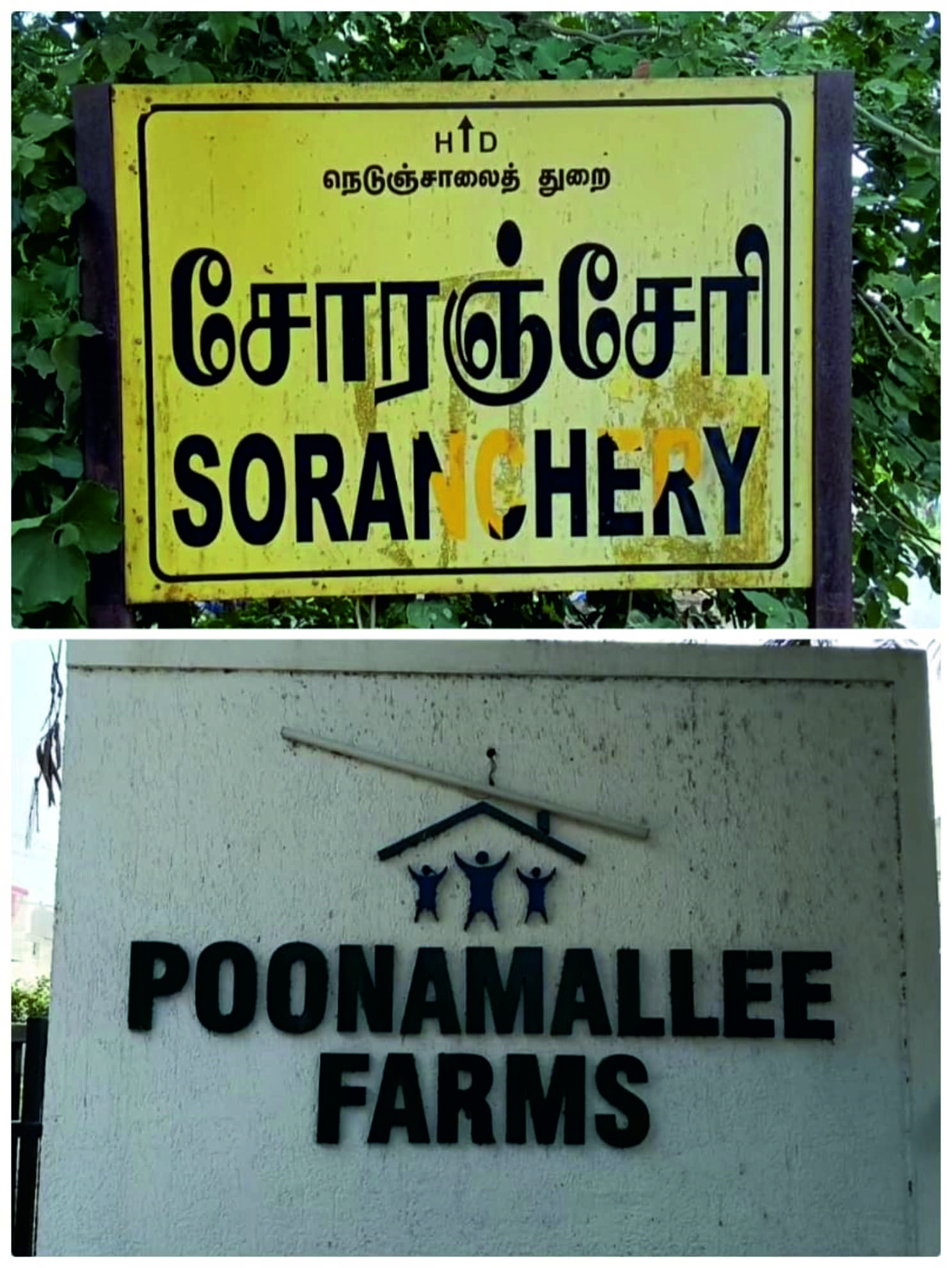 குழந்தைக்கு சாப்பாடு ஊட்டும் போது மாடு முட்டிய சிசிடிவி அதிர்ச்சி காட்சி 