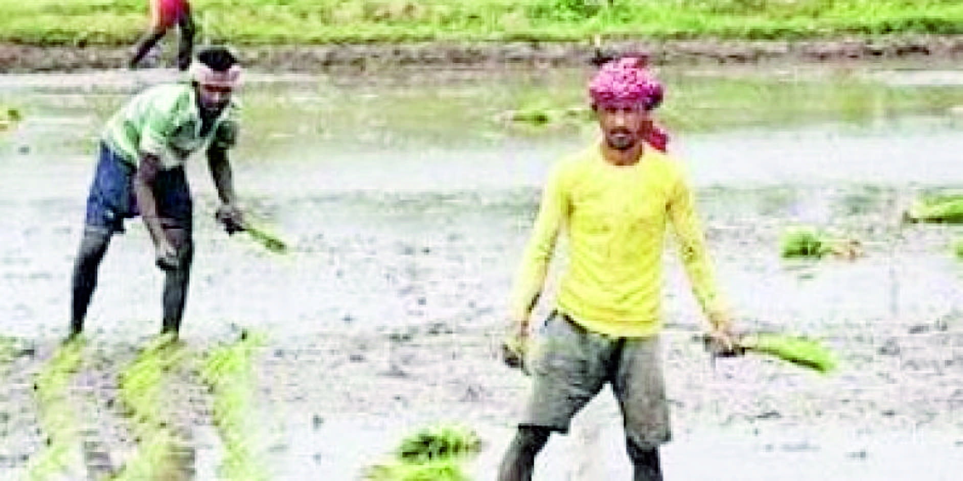 தமிழ் சமுதாயம் இனி பிழைக்குமா..? தழைக்குமா...?