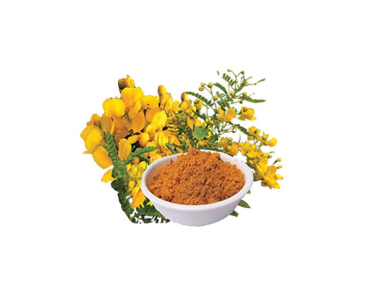 ஆவாரம் பூவின் மருத்துவ பயன்கள் பற்றி தெரிந்து கொள்வோம்!