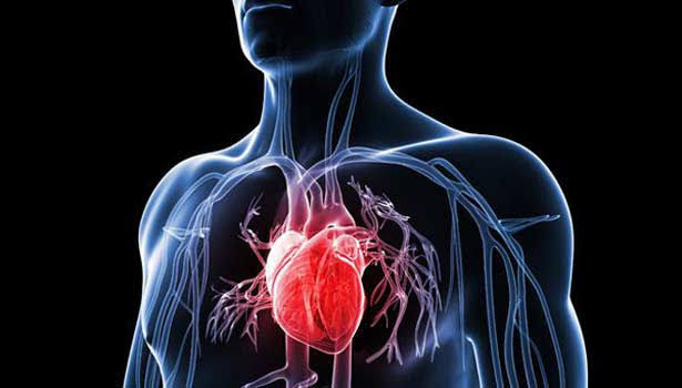 கொடுக்காய்ப்புளியின் மருத்துவ ரகசியங்கள்!