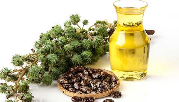 வழுக்கை விழுந்த இடத்தில் முடி வளர வேண்டுமா?