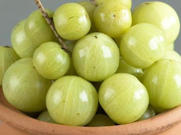 நெல்லிக்காய் தொக்கு செய்து பார்க்கலாம் வாங்க!